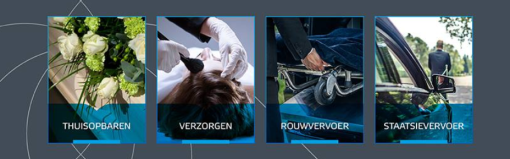 Mijn
